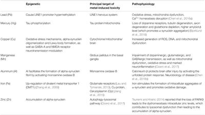 The Function of the Metals in Regulating Epigenetics During Parkinson’s Disease